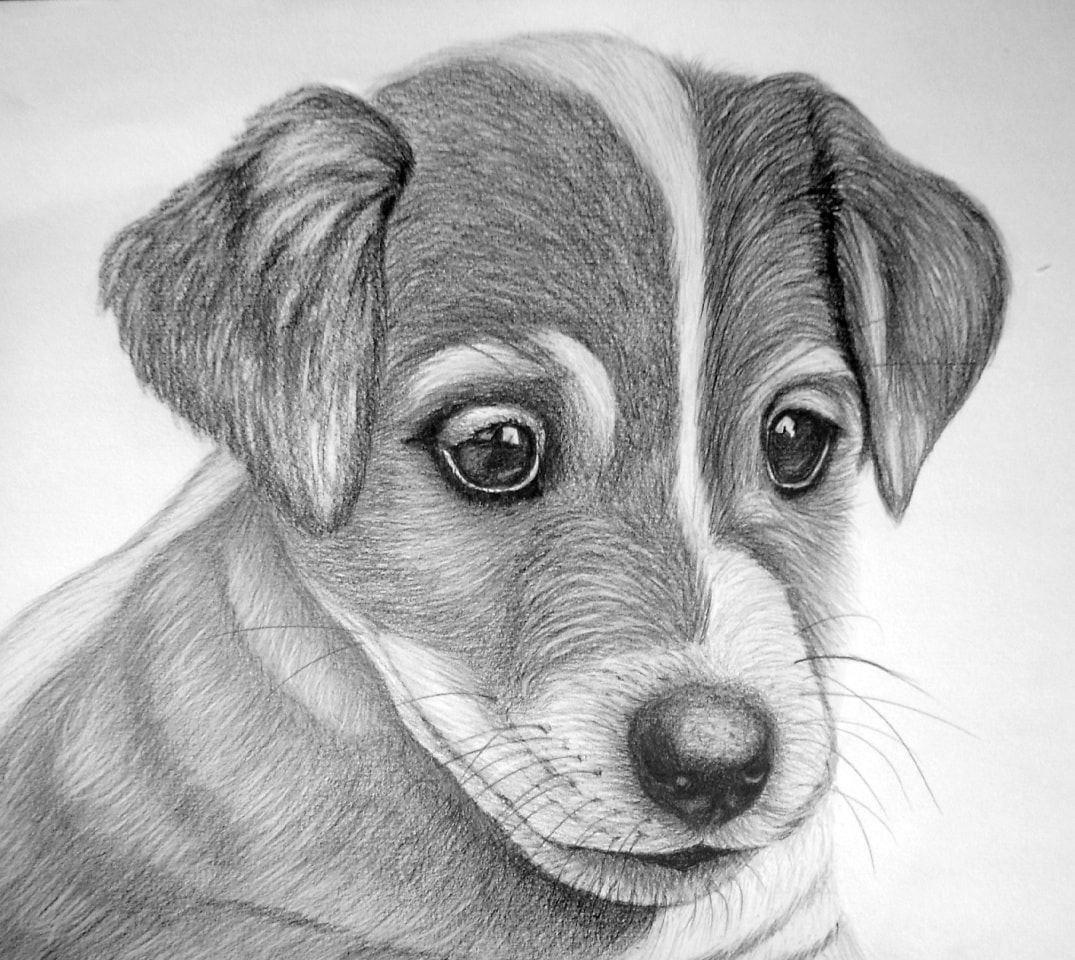 Рисование карандашом
