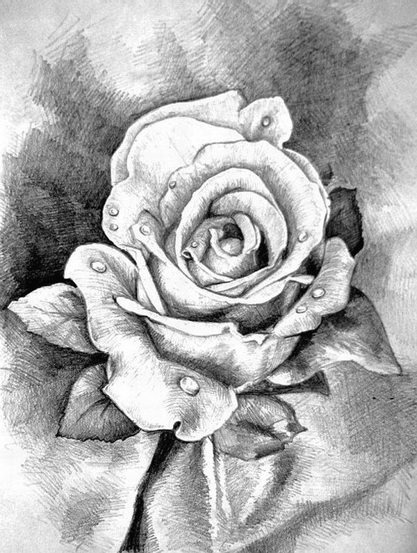 Рисование карандашом